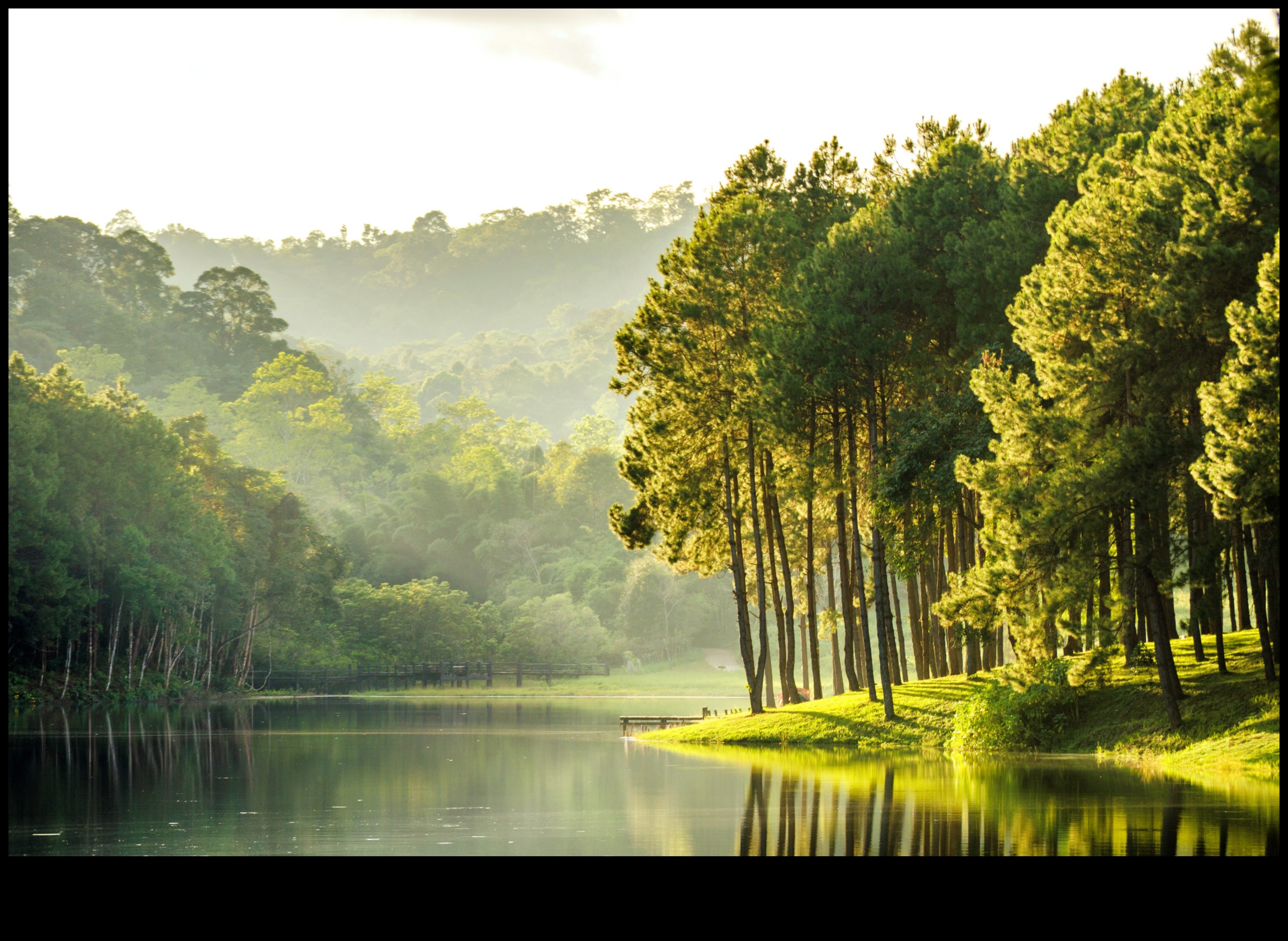 Navigați natura: aventuri ecologice cu sfaturi de călătorie verde