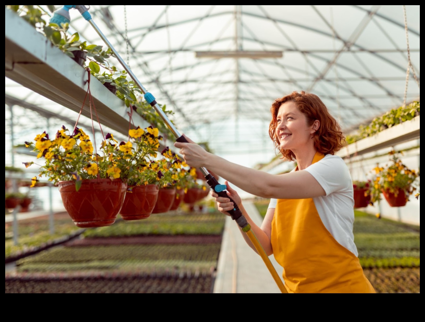 Harmony in Bloom: Dezlănțuie -ți visele de seră