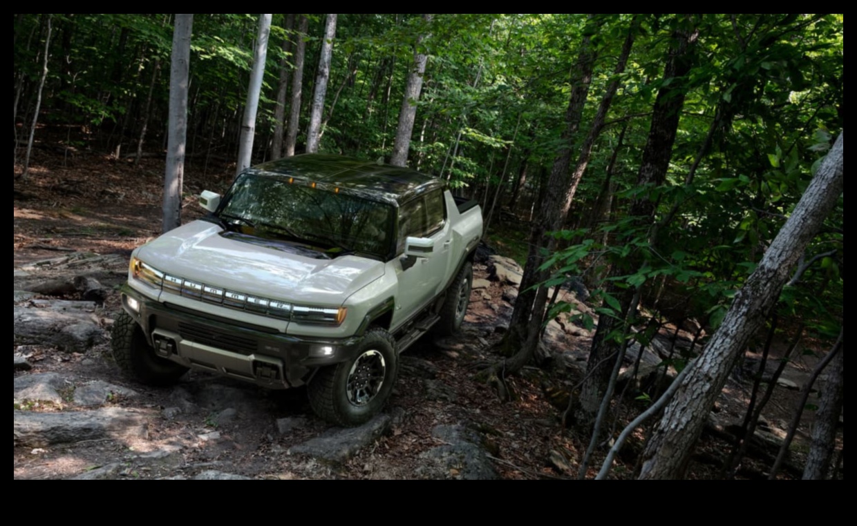 Dincolo de rețea: aventuri off-road cu vehicule electrice off-road