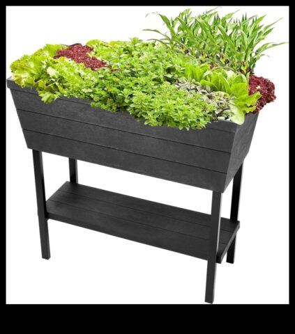 Orașul Bloomers Container Gardening Delights for Urban Living