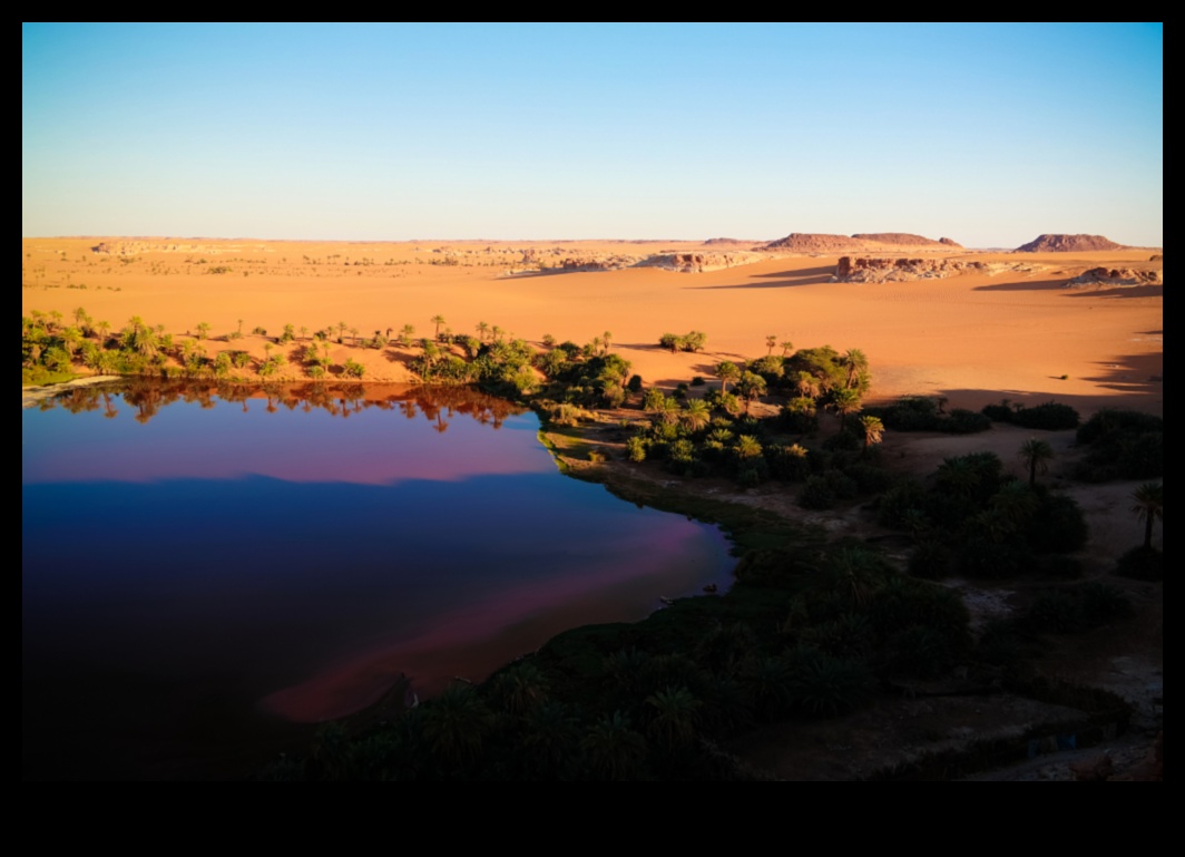 Desert Minuni: seninătatea peisajelor aride